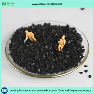 Activated Carbon 6x12 Mesh for Gold Recovery in Gold Mining